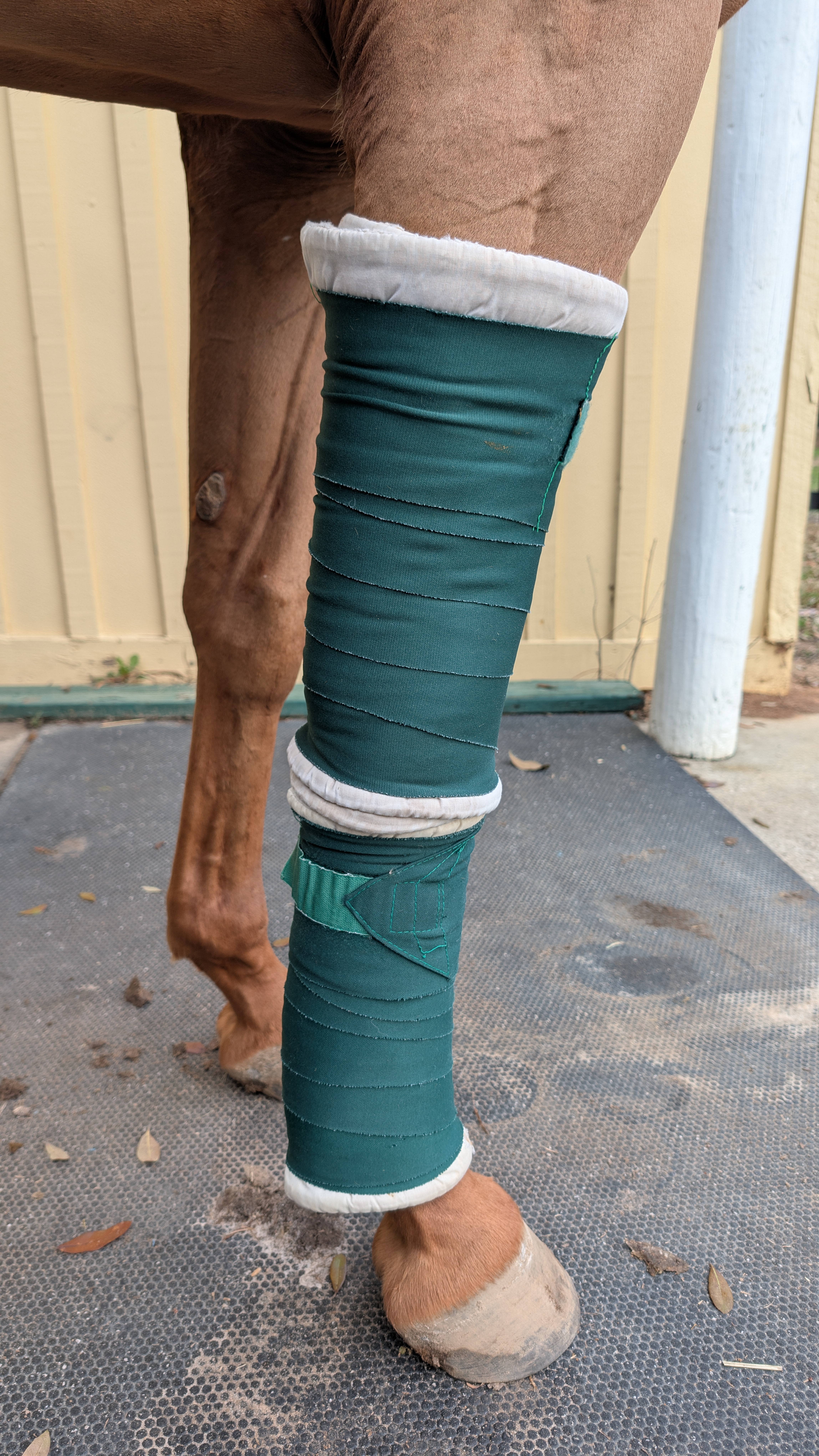 Horse leg with professional bandage wrap during initial assessment