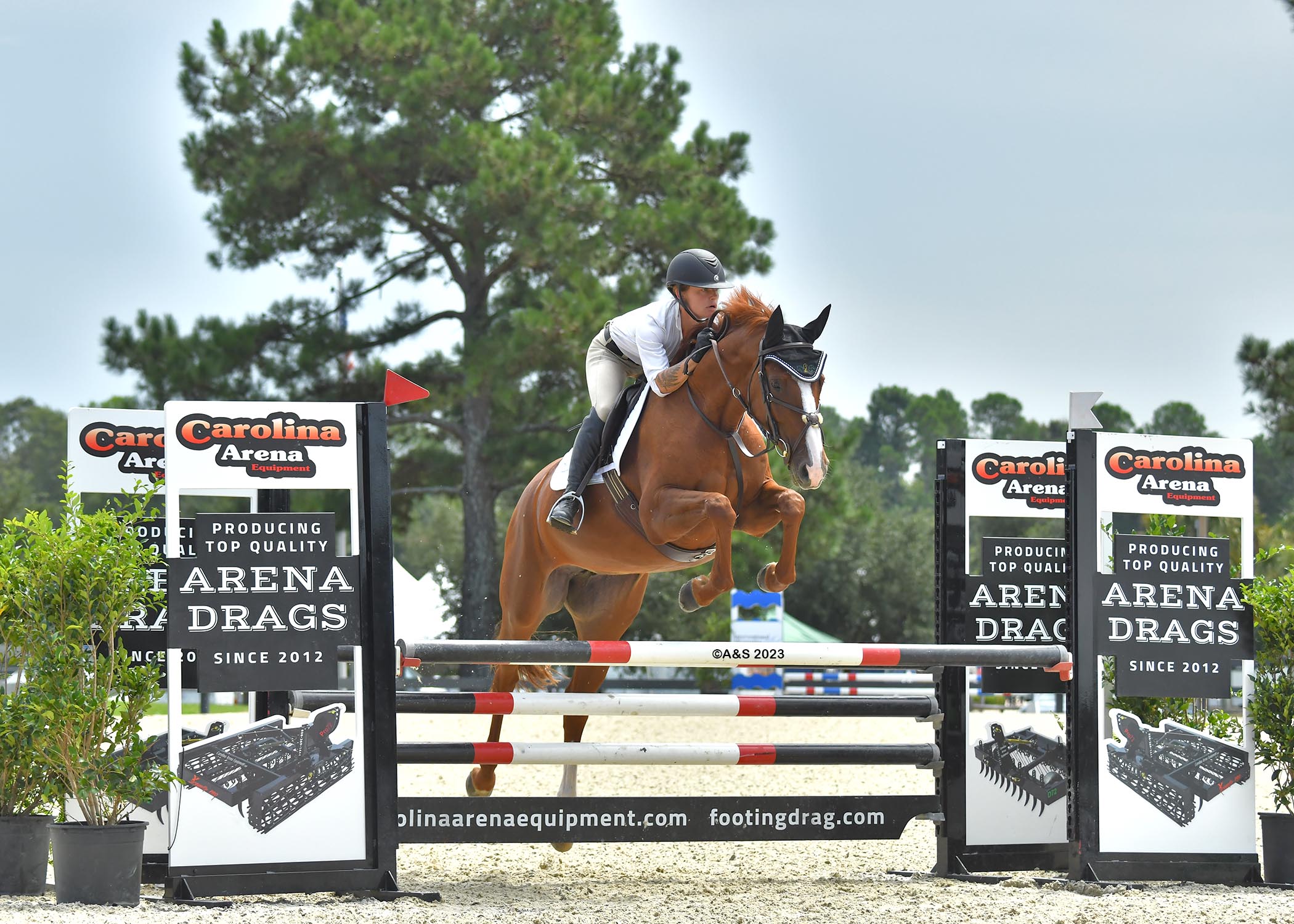 Sarah Lohnes, Founder & Director of Eligius Equine